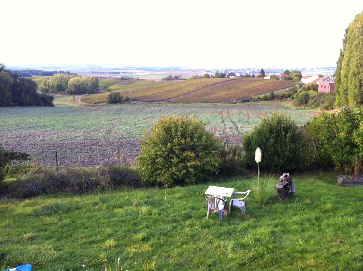 Villa Reims Epernay Champagne Vineyard Villers-Allerand Extérieur photo